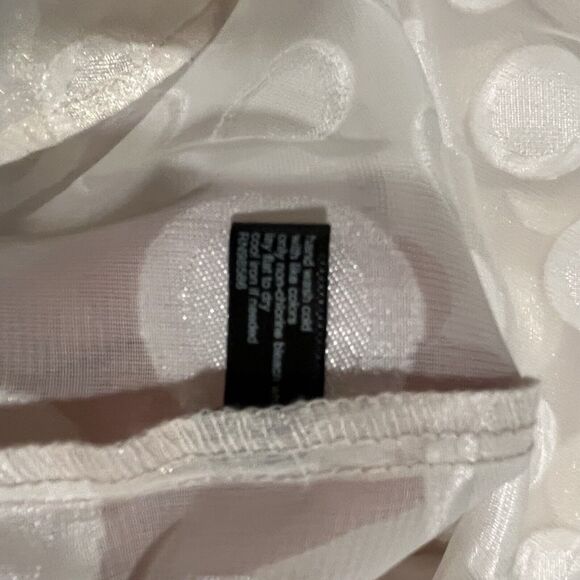 The Limited NWT Women's Polka Dot Tunic Top Shimmer Sheer Ballet Core Pink XS - Picture 10 of 12